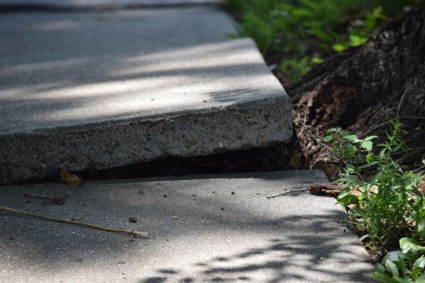 Cost of Sidewalk Leveling in Largo