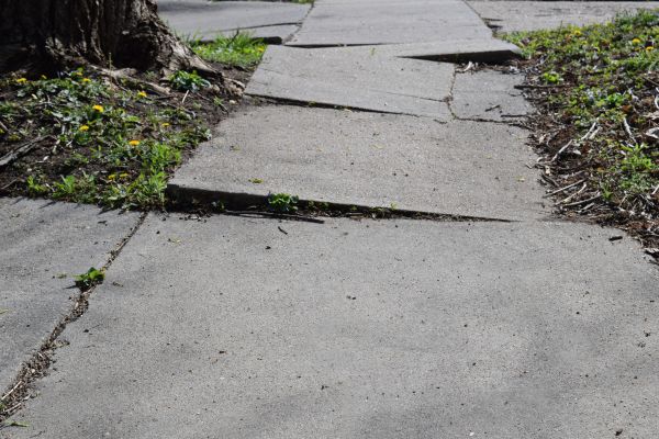 Cost of Sidewalk Raising in Largo