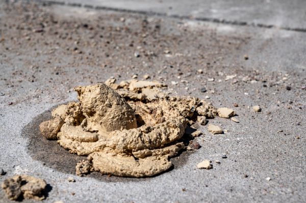 Cost of Driveway Slab Leveling in Largo